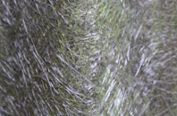 Ordhead fibreglass roof work